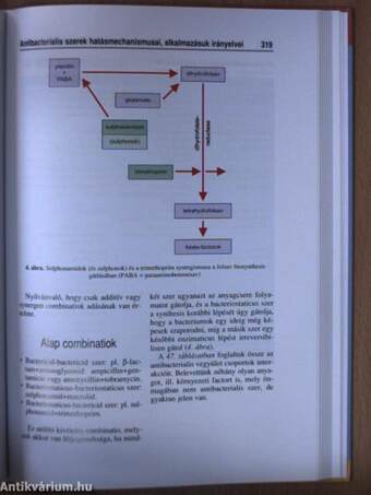 Klinikai, járóbeteg-szakorvosi és háziorvosi microbiologiai gyorsdiagnostica I.