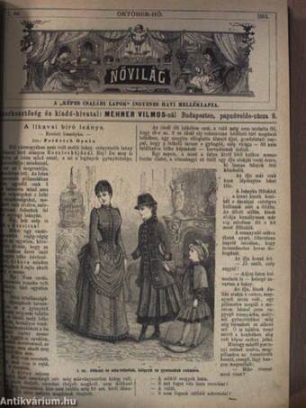 Képes Családi Lapok 1884. október 1.-1885. április 19. (nem teljes évfolyam)/Nővilág 1884. október-1885. március (fél évfolyam)