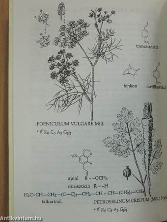 Gyógynövényismeret II.