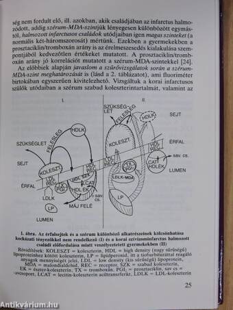 Felnőttkori kóros állapotok megelőzése gyermekkorban