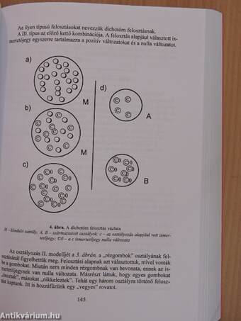 Osztályozás és információkeresés I-II.