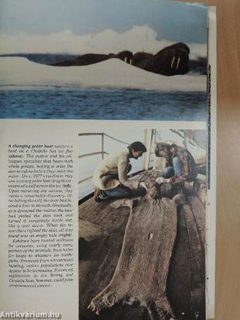 National Geographic October 1979