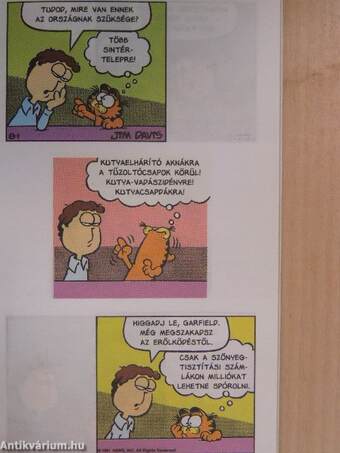 Garfield, a gazdiszomorító