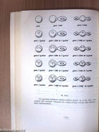 Differenciálgeometria és vektoranalízis