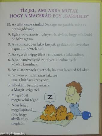 Garfield top tízes kandúrságai