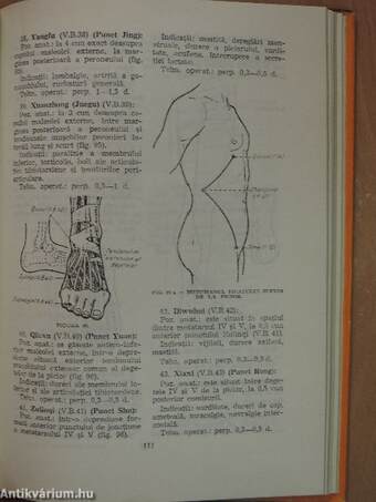 Manual de Acupunctura Chineza