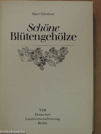 Schöne Blütengehölze