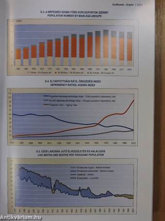 Demográfiai évkönyv 2002