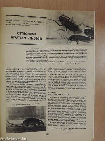 Természet Világa 1976. október