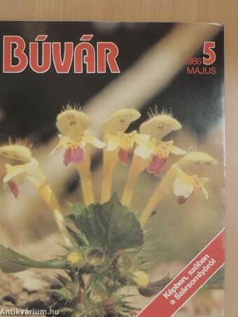 Búvár 1986. május