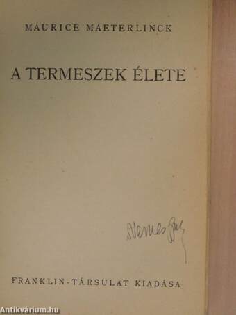 A termeszek élete