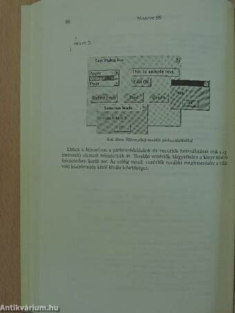 A Windows 95 programozása C és C++ nyelven