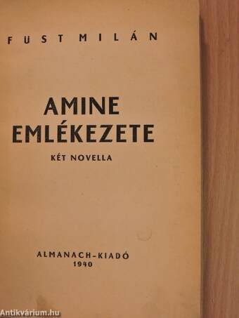 Amine emlékezete/Szakadék