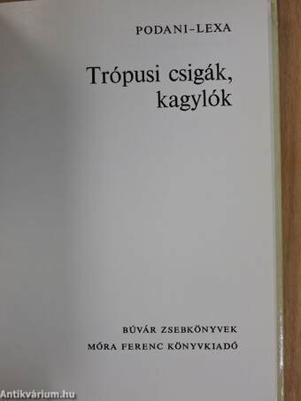 Trópusi csigák, kagylók