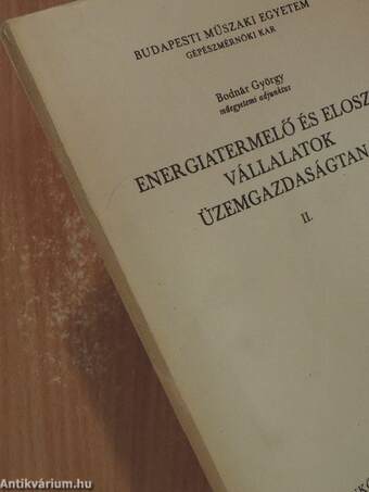 Energiatermelő és elosztó vállalatok üzemgazdaságtana II. (töredék)