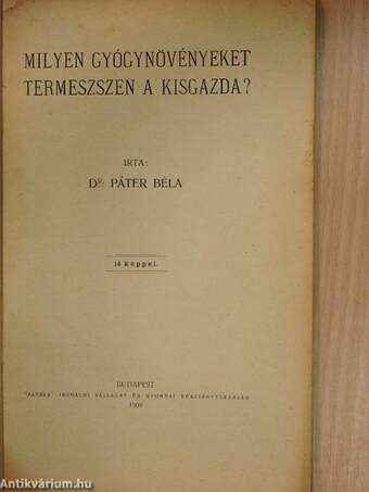 Milyen gyógynövényeket termeszszen a kisgazda?