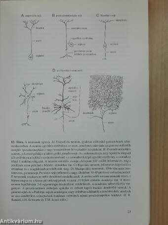 Neurocitológia