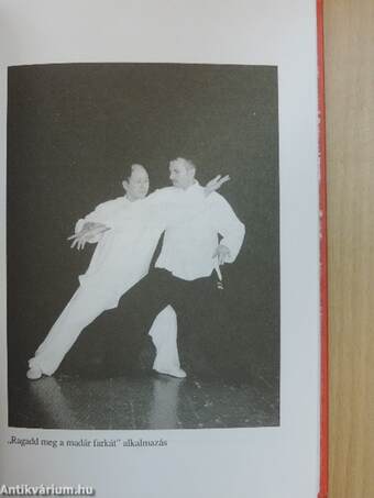 Taijiquan