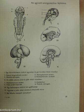 Pszichológiai atlasz