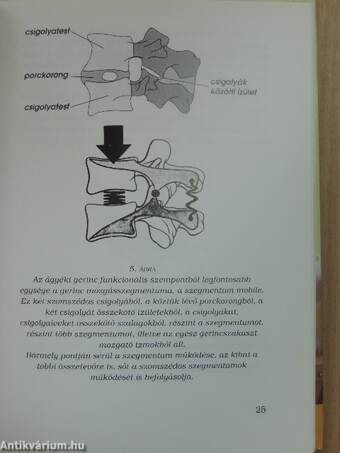 Beszélgetések a reumáról