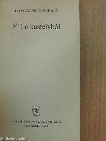 Fiú a kastélyból