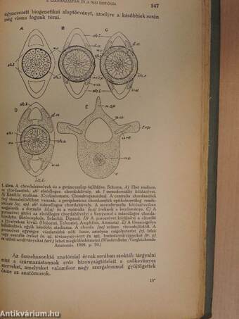 Az 1934. évi előadások