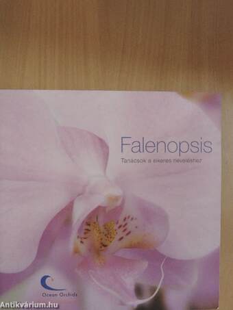 Falenopsis