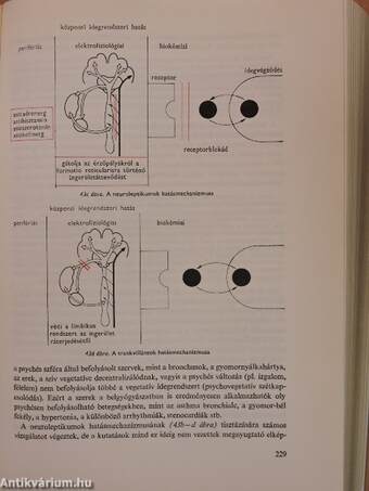 Orvosi gyógyszertan