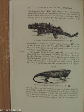 Guide to the Gallery of Reptilia and Amphibia in the Department of Zoology of the British Museum (Natural History)