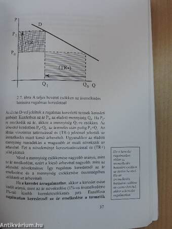 Mikroökonómia gazdasági informatikusoknak