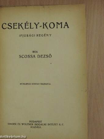 Csekély-koma