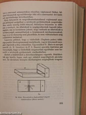 A pszichikum fejlődésének problémái