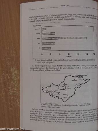 Észak-magyarországi Stratégiai Füzetek 2006/1.