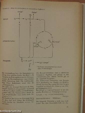 Lehrbuch für Kellner 3.