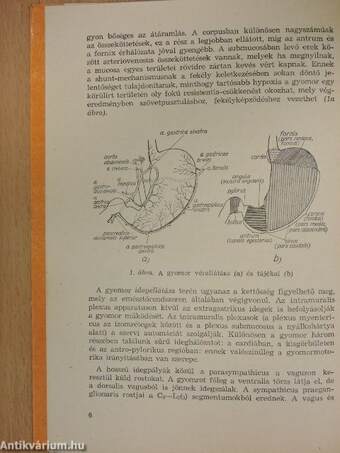A gyomor betegségei