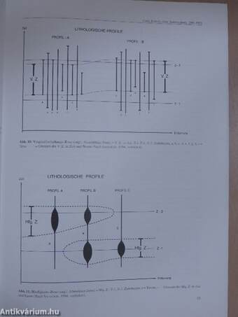 Empfehlungen (Richtlinien) zur Handhabung der stratigraphischen Nomenklatur