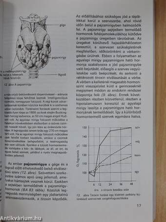 Biológia IV.