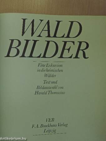 Waldbilder