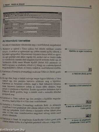 Microsoft Access 97