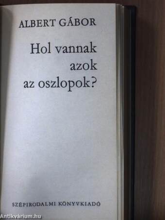 Köszönöm az interjút!/Hol vannak azok az oszlopok?/1934