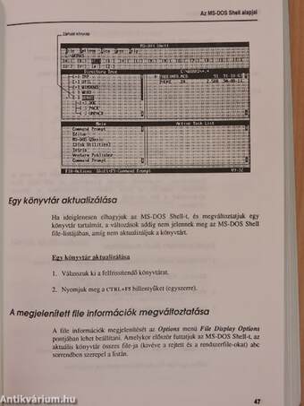 MS DOS 5.0 és kapcsolata a Windows 3.0-val/A Qbasic I-II.