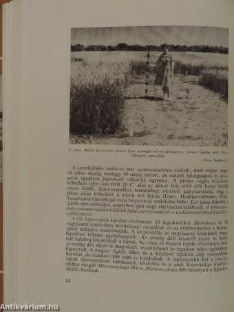 Nemesített növényfajtákkal végzett országos fajtakísérletek eredményei 1963