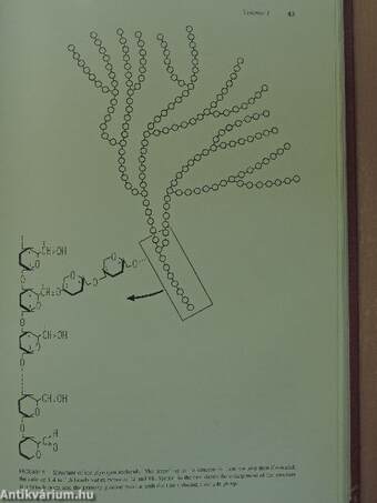 Molecular Biochemistry of Human Disease I. (töredék)