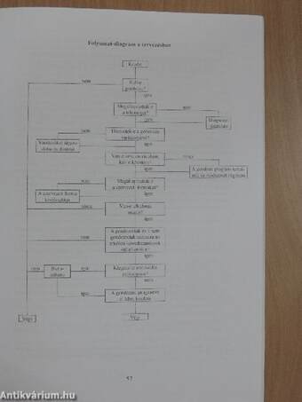 Tehetség és fejlesztő programok