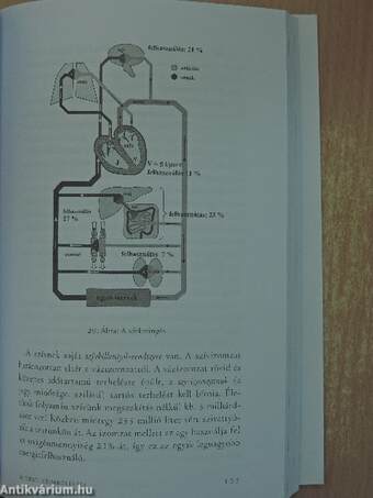 Egészség az asztrológia tükrében