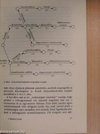 A hálós modellek alkalmazási területei és lehetőségei a mezőgazdasági vállalatokban