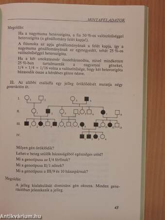 Így oldunk meg genetikai feladatokat