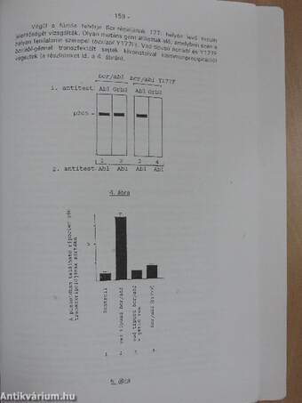 Alkalmazásteszt-feladatok molekuláris sejtbiológiából