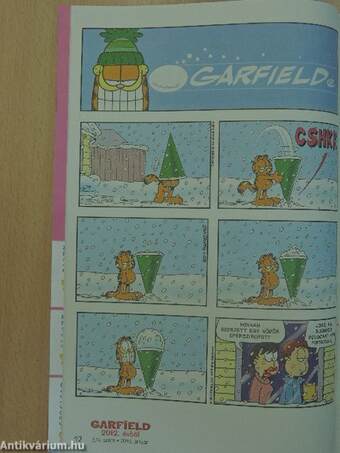 Garfield 2013. január