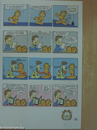 Garfield 1998/11.